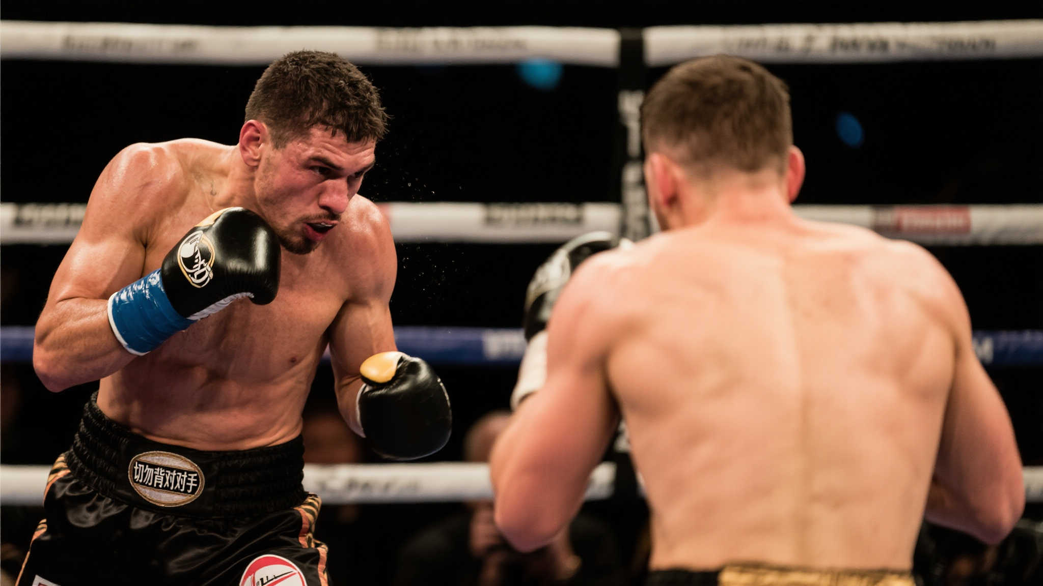 hth华体会平台网页版入口